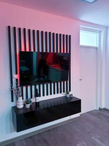 TV a/nebo společenská místnost v ubytování Apartman Callosum