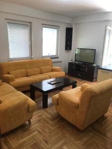 uma sala de estar com dois sofás e uma televisão em Guest House Sani em Skopje