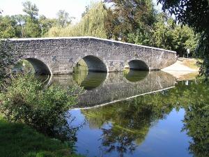 a stone bridge over a body of water at Ecolodge du petit champ in Graves