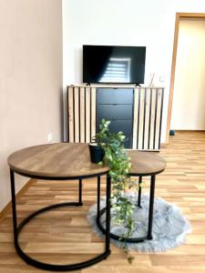 un tavolo e due sedie in soggiorno di Moderne Wohnung bei BASF a Hörlitz