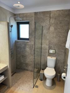 a bathroom with a toilet and a glass shower at Villa Elaia in Sitia