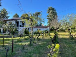 una casa con un jardín delante de ella en Superbe annAix de villa en Aix-en-Provence