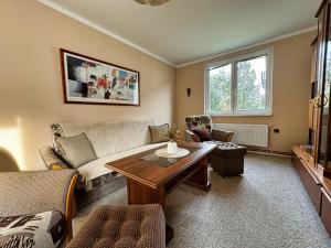 a living room with a couch and a table at Apartmán u Náměstí in Frymburk