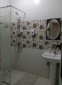 a bathroom with a shower and a sink and a mirror at Giza Home in Cairo