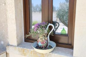 Zahrada ubytování villa dei cento Pini