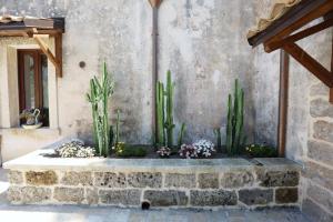 Zahrada ubytování villa dei cento Pini