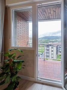 Cette chambre dispose d'une grande fenêtre avec une plante en pot. dans l'établissement Acogedor y moderno apartamento, à Zamudio