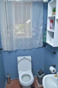 a blue bathroom with a toilet and a window at Wanjara's Nest in Windhoek