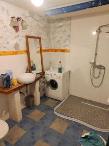 a bathroom with a washing machine and a sink at Gutshaus im Grünen in Poseritz