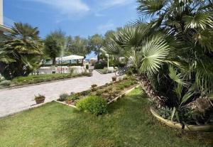 einen Garten mit Palmen und Gras und einem Pfad in der Unterkunft Hotel Majestic in Senigallia