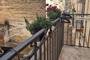 zwei Topfpflanzen auf einem Geländer auf einem Balkon in der Unterkunft Suite 37 - Casa vacanza per goderti il mare in Bisceglie