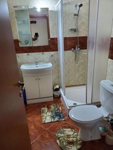 een badkamer met toilet, douche en wastafel bij Привилидж первая линия in Sveti Vlas