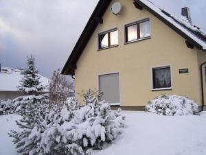une maison recouverte de neige avec des arbres et des buissons dans l'établissement Ferienwohnung für 2 Personen ca 55 qm in Frauenwald am Rennsteig, Thüringen Rennsteig, à Ilmenau