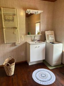 a small bathroom with a sink and a mirror at le Gîte de Marie Ray Sur Saône in Ray-sur-Saône +4 photos