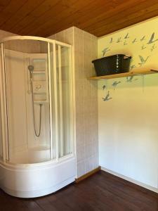 a bathroom with a shower with birds on the wall at le Gîte de Marie Ray Sur Saône in Ray-sur-Saône