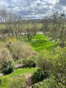 un champ verdoyant avec des arbres, de l'herbe et une rivière dans l'établissement Maison Ray Sur Saône, à Ray-sur-Saône