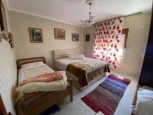 1 dormitorio con 2 camas y cortina roja en Kruja Shared Apartment, en Krujë