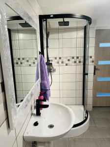 Koupelna v ubytování Apartmány 68