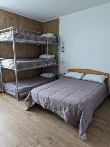 a bedroom with two bunk beds in a room at Auberge Des Pins in Aubenas