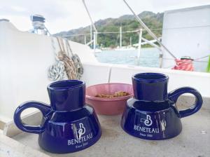 two blue mugs sitting on top of a boat at Experiencia marina en Puerto Lindo in Puerto Lindo