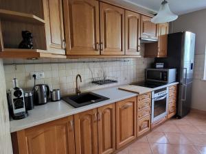 Köök või kööginurk majutusasutuses Apartament INA