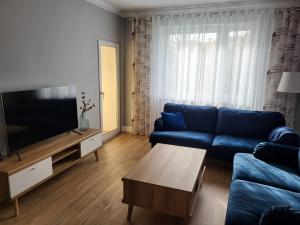 Televiisor ja/või meelelahutuskeskus majutusasutuses Apartament INA