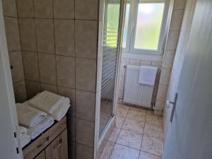 uma casa de banho com chuveiro e toalhas num balcão em location appartement 80m2 à Rombas em Rombas