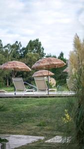 a group of chairs and umbrellas in a field at Complejo Enrique Joaquin in Mercedes