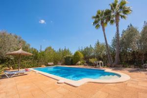 una piscina con sombrilla y palmera en Ferienhaus mit Privatpool für 5 Personen ca 85 qm in Campos, Mallorca Südküste von Mallorca, en Campos