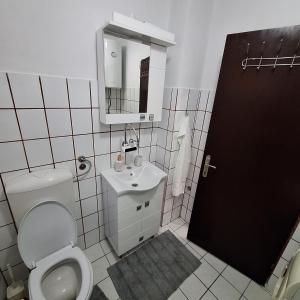 a bathroom with a toilet and a sink at Dora in Sremski Karlovci