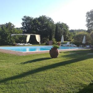 The swimming pool at or close to Ferienwohnung für 4 Personen ca 50 qm in Lucignano, Toskana Provinz Arezzo - b53872