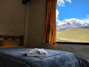 Un ou plusieurs lits dans un hébergement de l'établissement Chimborazo
