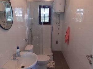ein Bad mit einem Waschbecken, einem WC und einer Dusche in der Unterkunft Ferienwohnung für 4 Personen ca 48 m in Privlaka, Dalmatien Norddalmatien in Privlaka