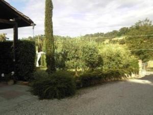 einen Garten mit Büschen und Bäumen und ein Haus in der Unterkunft Ferienwohnung für 4 Personen ca 65 m in San Miniato, Toskana Provinz Florenz in San Miniato