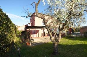 un árbol en el patio de una casa en Ferienhaus mit Privatpool für 6 Personen ca 120 qm in Carignano di Lucca, Toskana Provinz Lucca, en Cappella