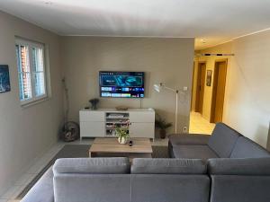 a living room with a couch and a flat screen tv at Red House Apartment With Swimming Pool in Vinišće