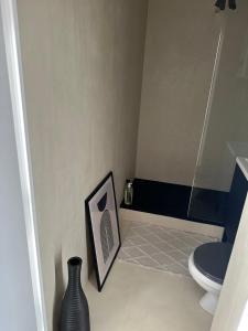 a bathroom with a toilet and a picture on the floor at Appartement vue mer in Le Barcarès