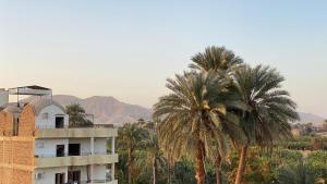 a building and palm trees in front of a mountain at Sun Wing Guest House in Luxor