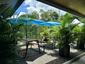a patio with a picnic table and a blue umbrella at Pura Vibra Hostel in Fortuna