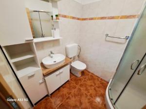 uma casa de banho com um WC, um lavatório e um chuveiro em Ferienwohnung für 3 Personen 2 Kinder ca 55 qm in Loborika, Istrien Südküste von Istrien em Loborika