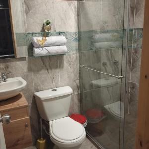 Un baño con inodoro y ducha de cristal. en MIRADOR CABAÑAS CRISTALES de BELLA VISTA, en Paipa