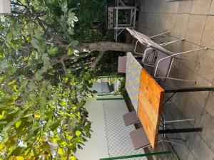 widok na basen z krzesłami i drzewami w obiekcie Ferienwohnung für 3 Personen ca 50 qm in Privlaka, Dalmatien Norddalmatien w mieście Privlaka