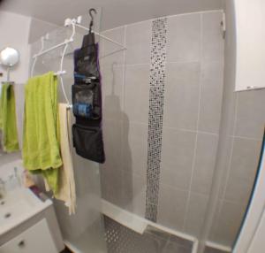 eine Dusche im Bad mit Duschvorhang in der Unterkunft Cosy appart T4 90m~ Proche Paris - 5 min du RER C in Arpajon