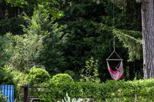 Ein Garten an der Unterkunft Waldhotel Bad Jungbrunn