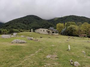 a house in a field with a herd of animals at Casa Las Hortensias in Tafí del Valle