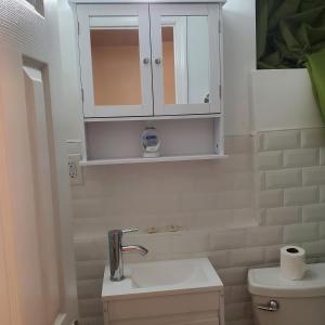 a bathroom with a sink and a cabinet above a toilet at STUDIO&ONE BEDROOM APARTMENTS in Bronx