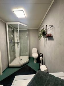 a bathroom with a shower and a toilet at studio apartment with parking in Lillehammer