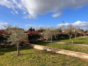 una fila di alberi in un cortile con un edificio di Casa delle More a Siena