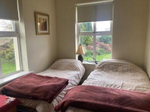 two beds in a room with two windows at Grove House Rooms in Cork