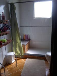 a bathroom with a shower with a toilet and a window at Mountain Chalet in Los Altos de Cerro Azul